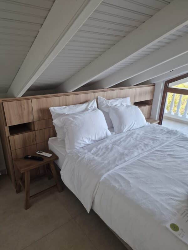 393229774_882752029909865_4369232996980968149_n